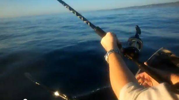Kayak fishing for kings at Swansea Heads. Footage courtesy of YouTube