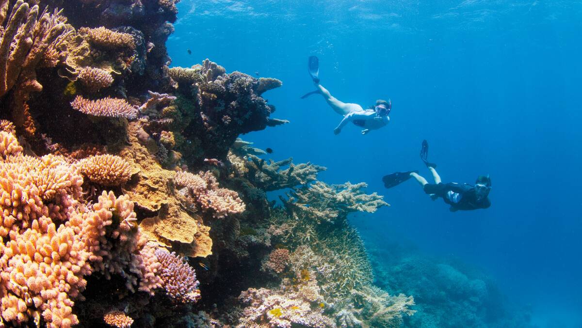 "Sometimes the weather [in Queensland], like its politics, is all over the place, making a trip to the reef not so much a bucket list item, as better get a bucket". Picture: Tourism and Events Queensland.