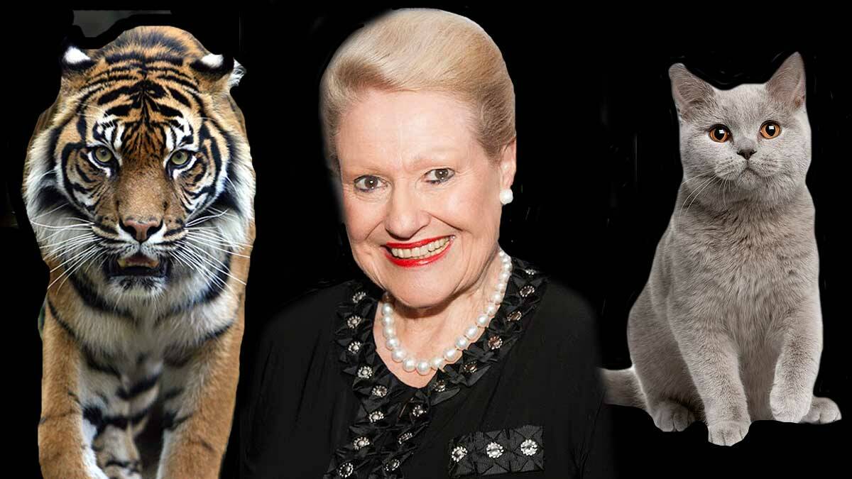 "If Bronwyn had cats they’d be tigers, and she wouldn’t be the one getting up to feed them.  She’d have Siegfried and Roy do it".
