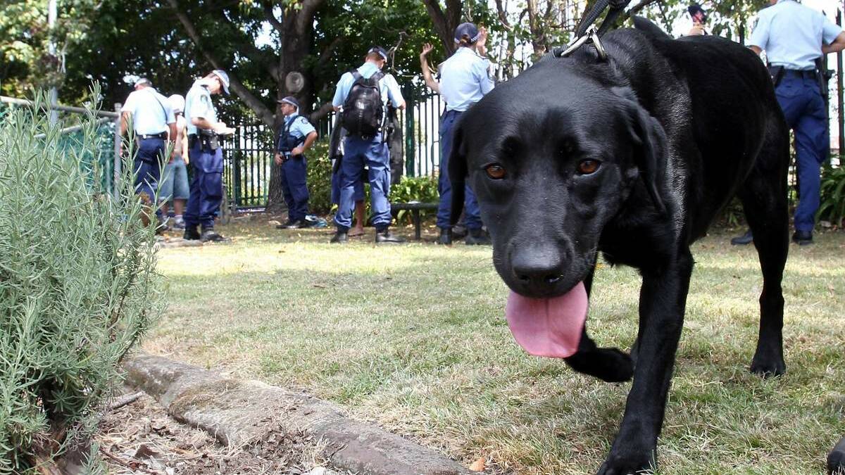Police have defended the use of sniffer dogs to detect drugs at major events.