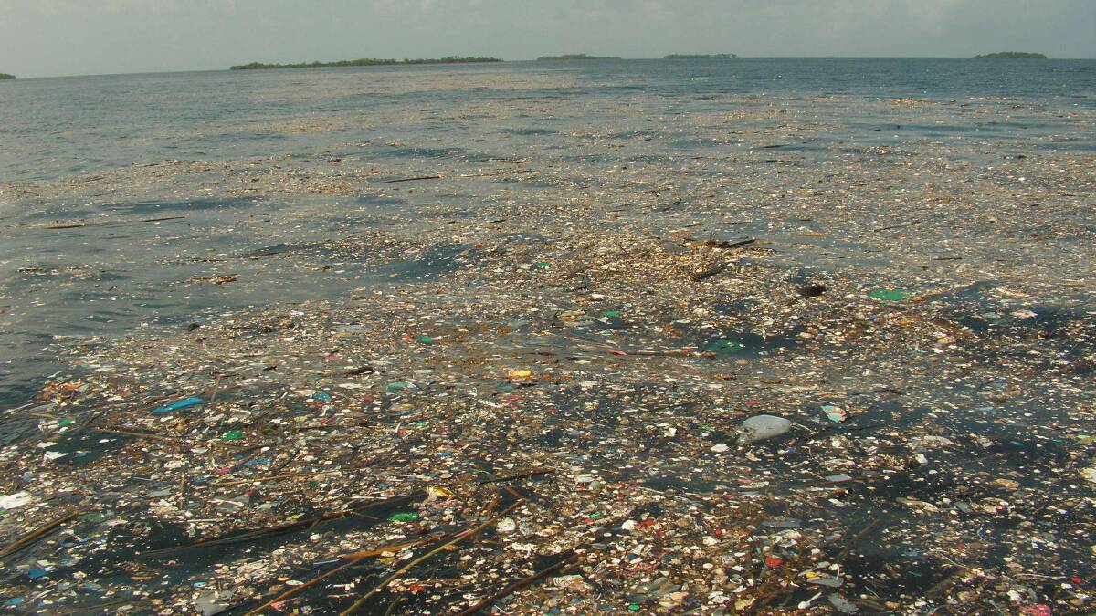 Marine debris in Port Honduras Marine Reserve, Belize. Pic: Renata Ferrari Legorreta/Marine Photobank