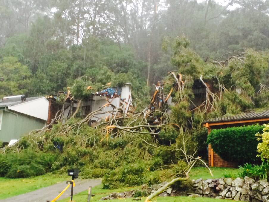 A house cleaved in two by a falling tree at Rankin Park. Pic: Darren Pateman