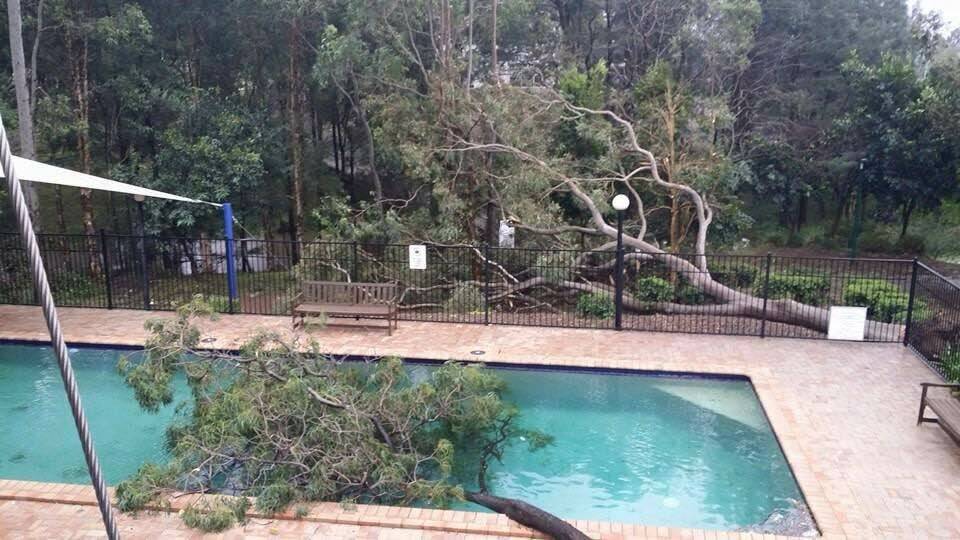 Readers are reporting trees down and storm damage at the University of Newcastle residences. Pic: Brittany Hitch.