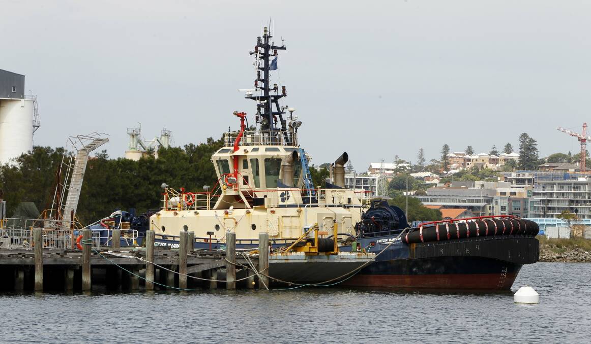 IDLE: Svitzer’s  tug  Warrego is being checked.  Picture: Phil Hearne