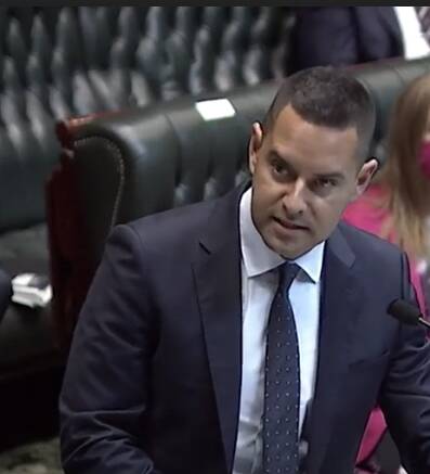 Tabled: Independent Sydney MP Alex Greenwich speaking in NSW Parliament on Thursday.