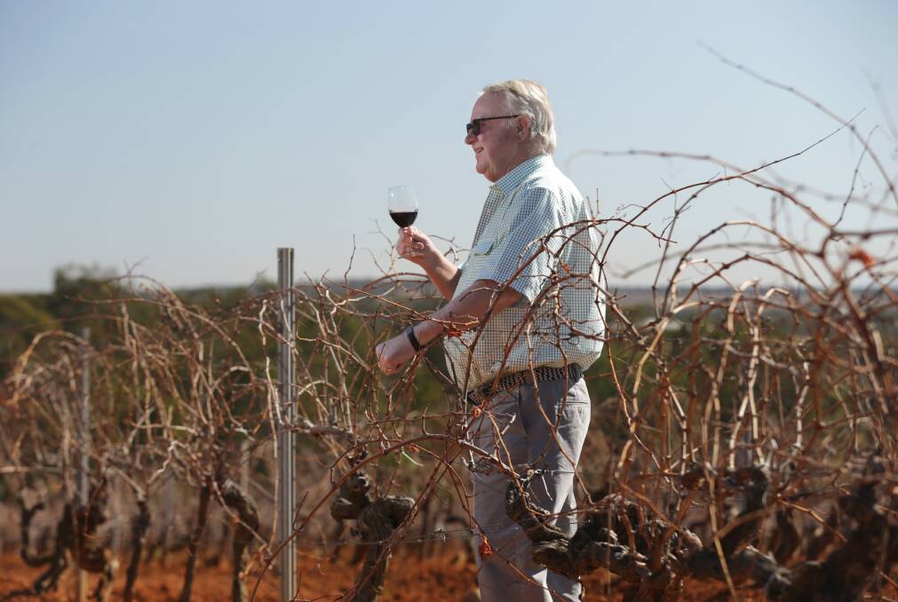 Tyrrell's Wines managing director Bruce Tyrrell in 2023. Picture by Max Mason-Hubers
