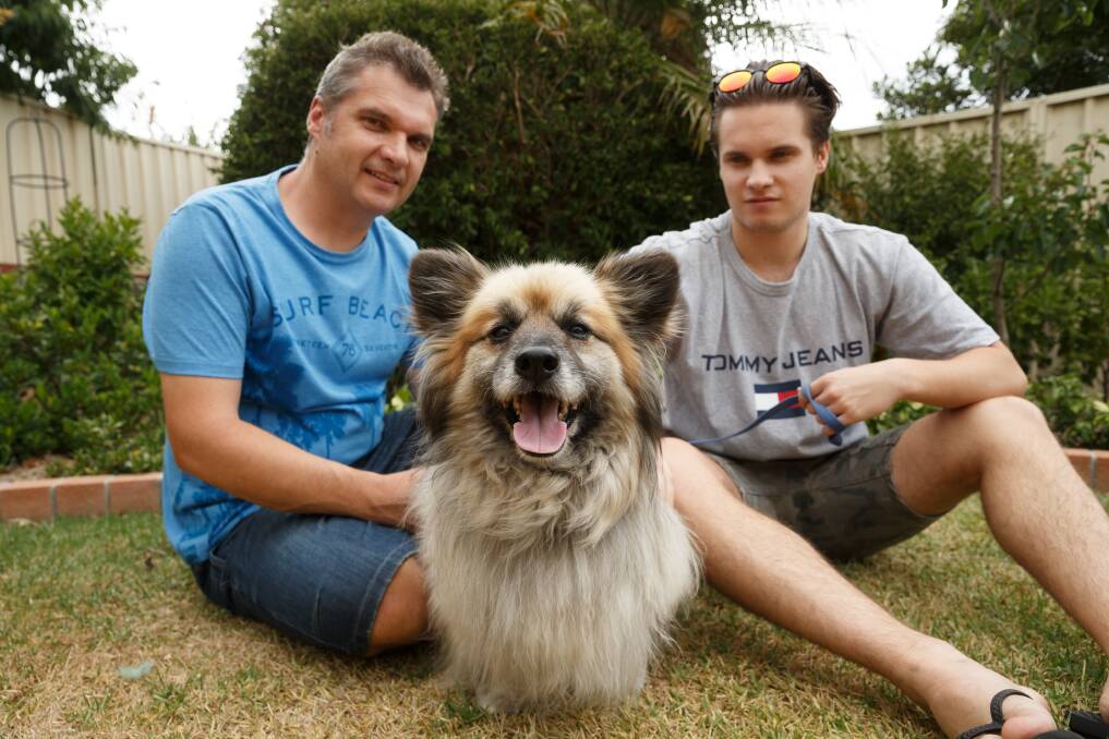 Recovered: Ivan Hecimovic and son David with their dog Charlie, who suffered a rare tiger snake bite in their Lambton yard. Picture: Max Mason-Hubers