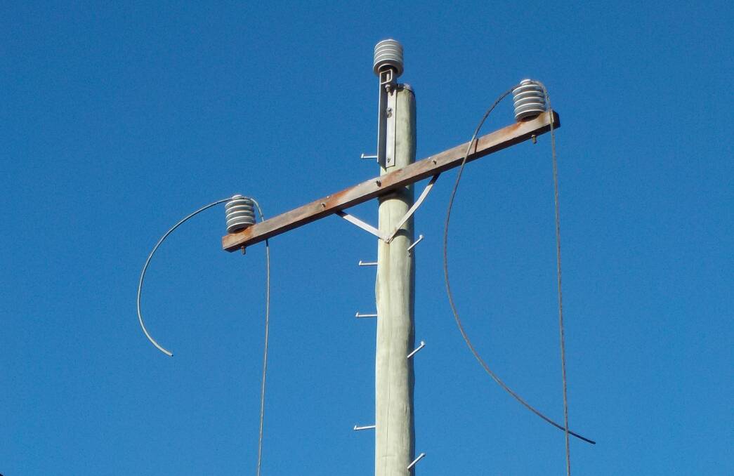 Ausgrid has condemned the cutting and theft of live electricity lines at Port Stephens and Lake Macquarie.