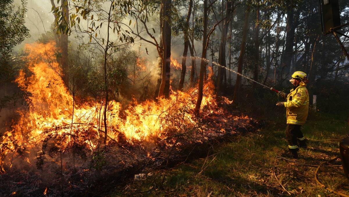 Preparation: A firefighter conducts a hazard reduction burn at Port Stephens in recent days. Picture: Jonathan Carroll