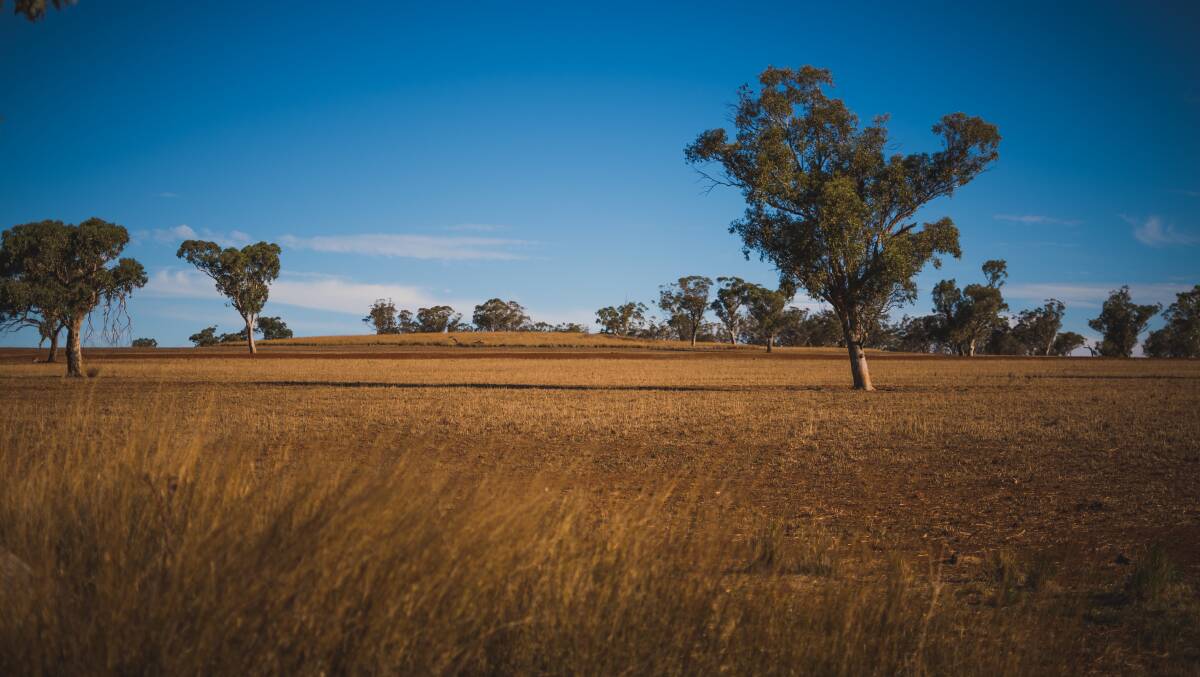 Hard conditions: A property in Merriwa, in the Upper Hunter Valley, where farmers are hoping for rain after months of dry weather. Picture: Simon McCarthy