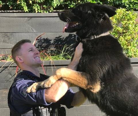 Mates: Kane and his handler have been together since 2012. Picture: NSW Police