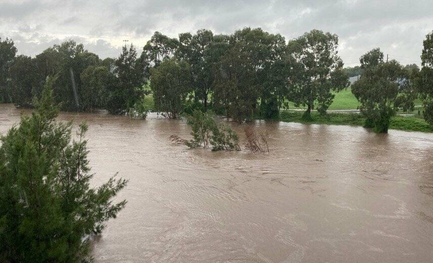 The Hunter River at Singleton on Tuesday afternoon. Picture: Hunter SES
