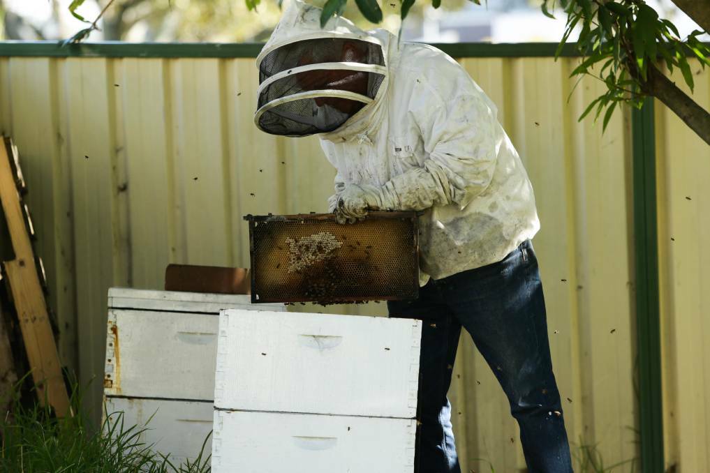 Beekeeper Neil Livingstone in Newcastle. Picture by Jonathan Carroll