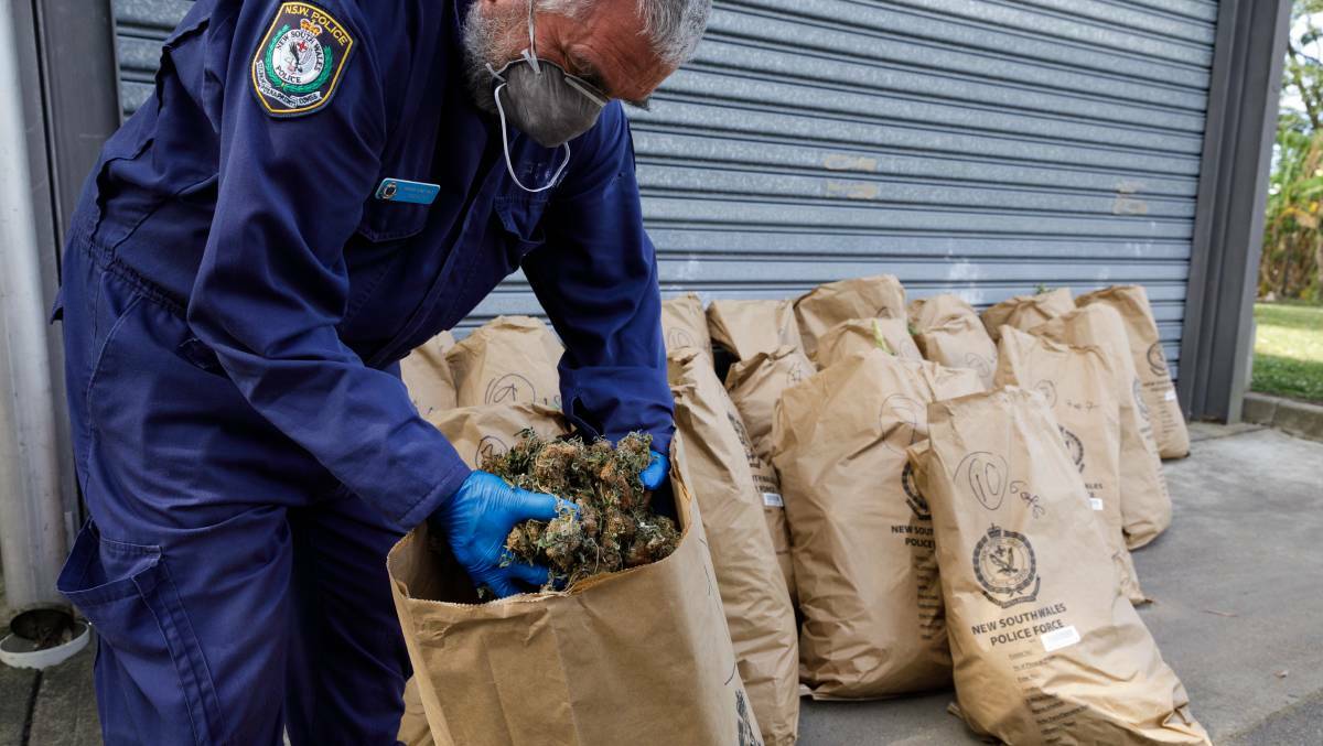 SEIZURE: Police dismantle a cannabis grow house in the old Churchill's building on Steel Street, Newcastle during raids in 2017. Accused syndicate leader Nga White is on trial in Newcastle District Court. Picture: Max Mason-Hubers
