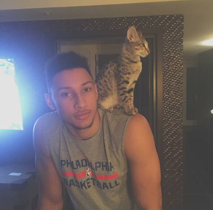 TRENDING UP: No. 1 overall pick Ben Simmons with one of his cats. 