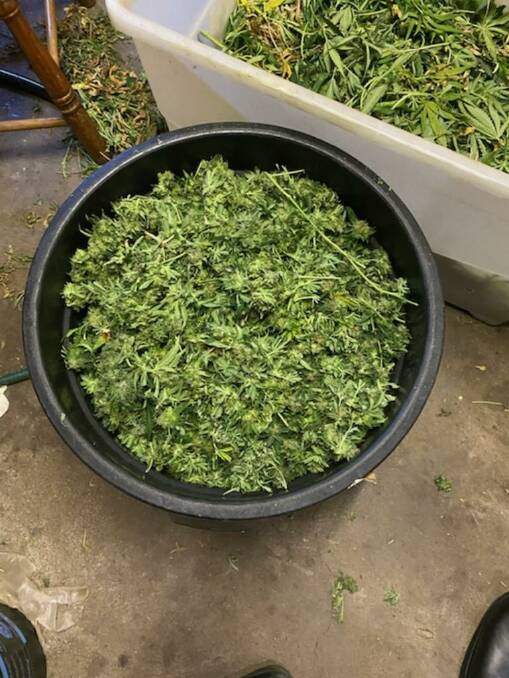 The cannabis set-up found by police at the home in Scone in November, 2020. Picture by NSW Police 