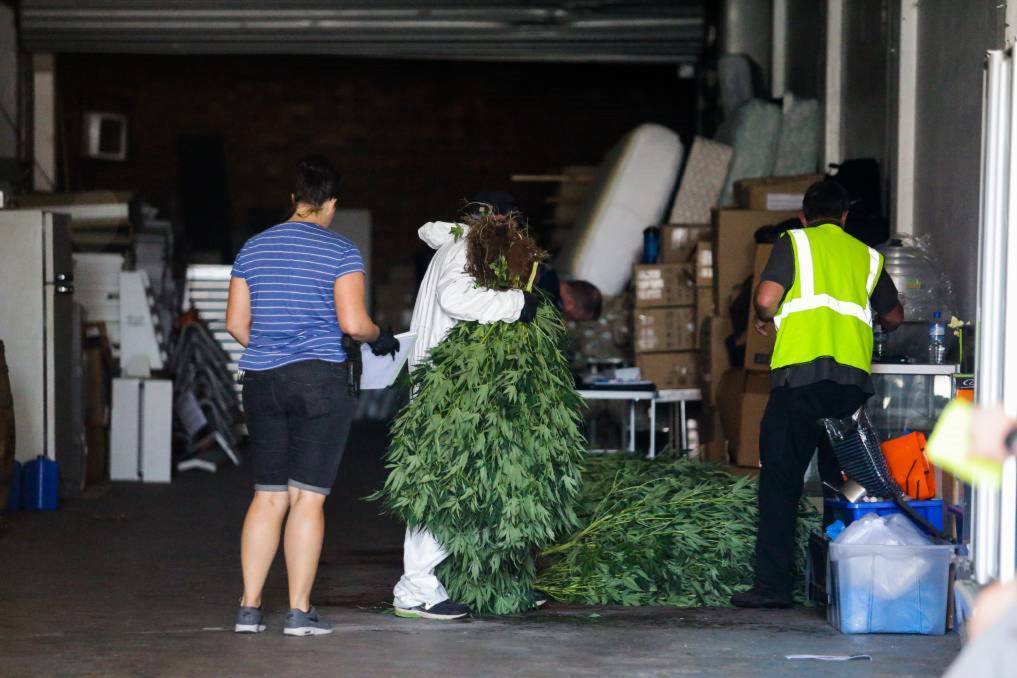 SEIZURE: Police dismantle a cannabis grow house in the old Churchill's building on Steel Street, Newcastle during raids in 2017. Picture: Max Mason-Hubers
