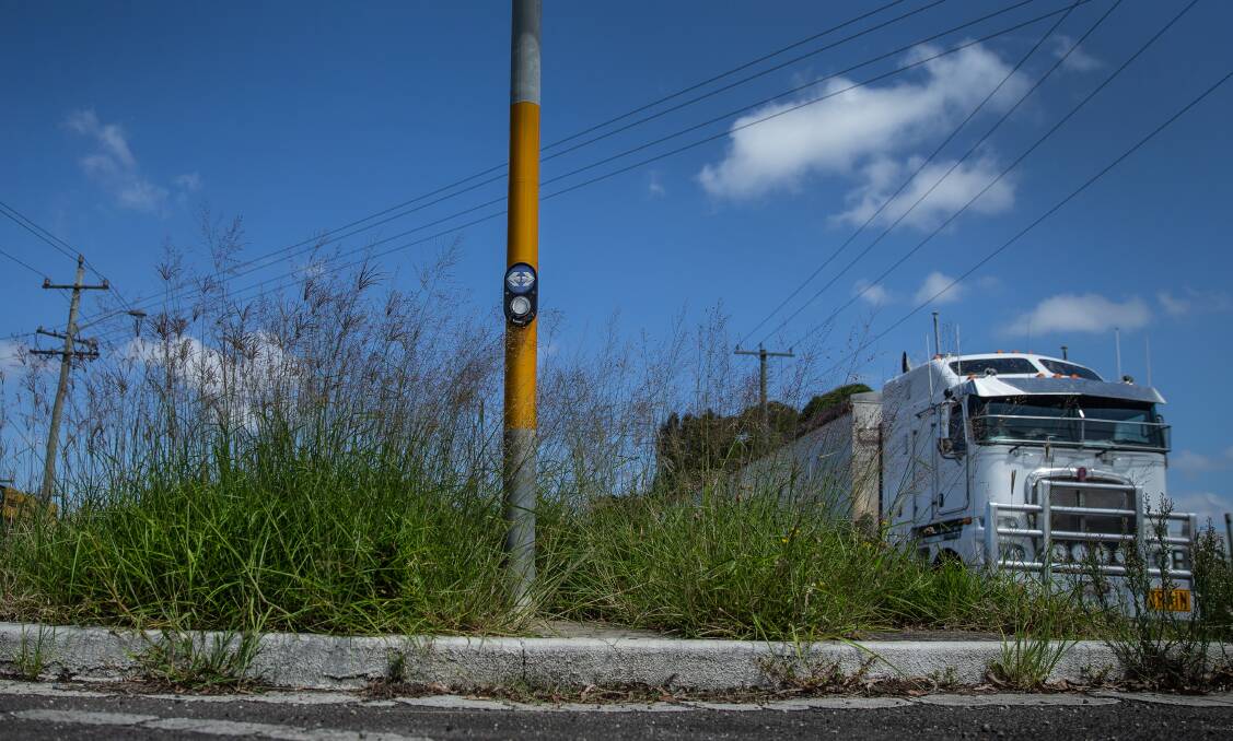 OVERGROWN: The median strip on Maitland Road, at the intersection of Wallsend Road. Picture: Marina Neil