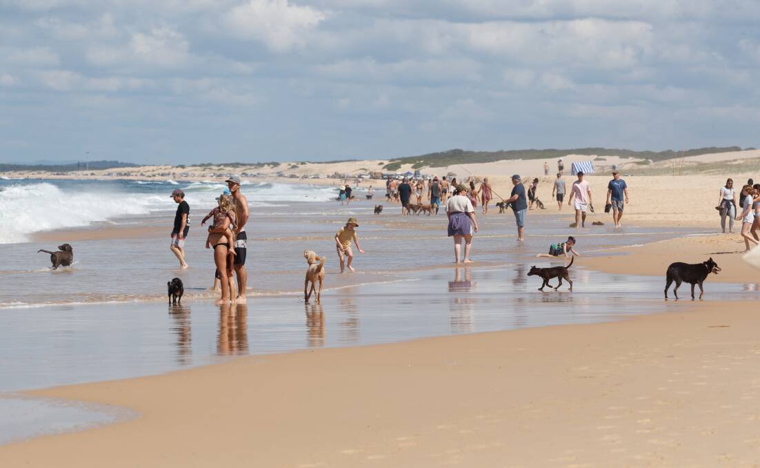HITTING THE BEACH: After a wet March, people were quick to visit Redhead in April. Picture: Max Mason-Hubers