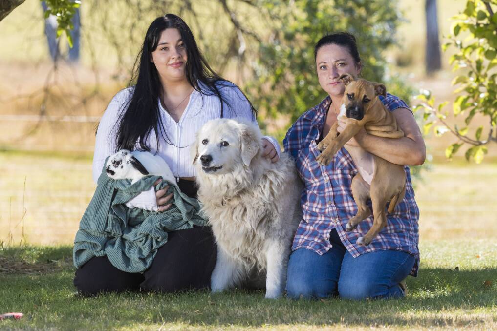 Jasmine and Debbie Davenport with rabbit Theo and dogs Halo and Lopez. Picture: Phillip Biggs