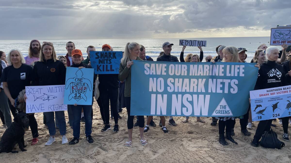 Protesters lined Manly Beach on the first day of spring to call for shark nets to be removed. Pictures by Nadine Morton