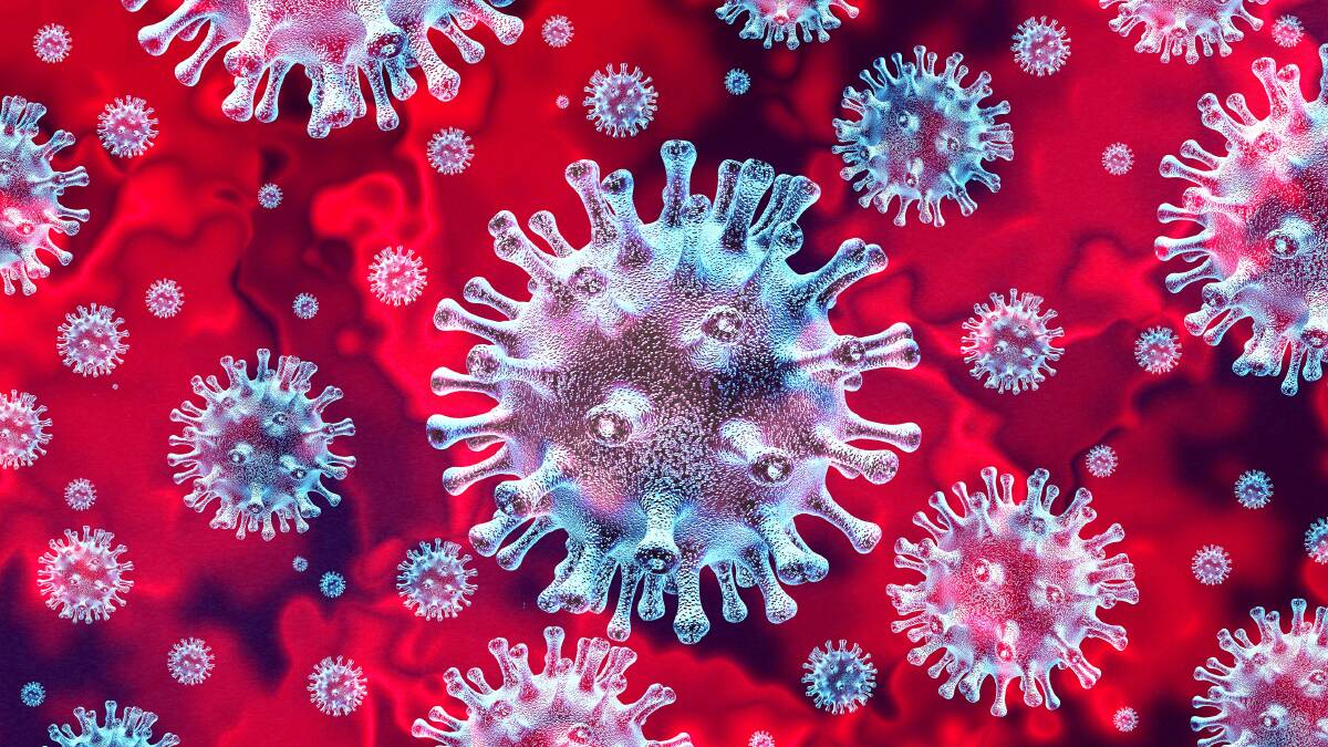 The Coronavirus. Picture: Shutterstock