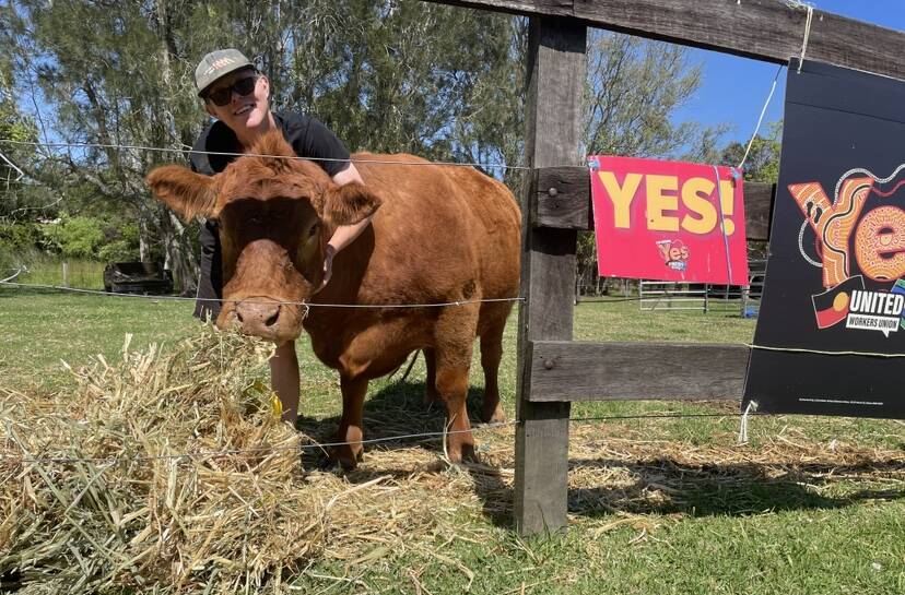 Paul Dougherty, 19, and his campaign cow Donna. Picture by Alanna Tomazin