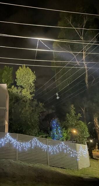 The Christmas lights were accidentally thrown over active power lines. Picture supplied