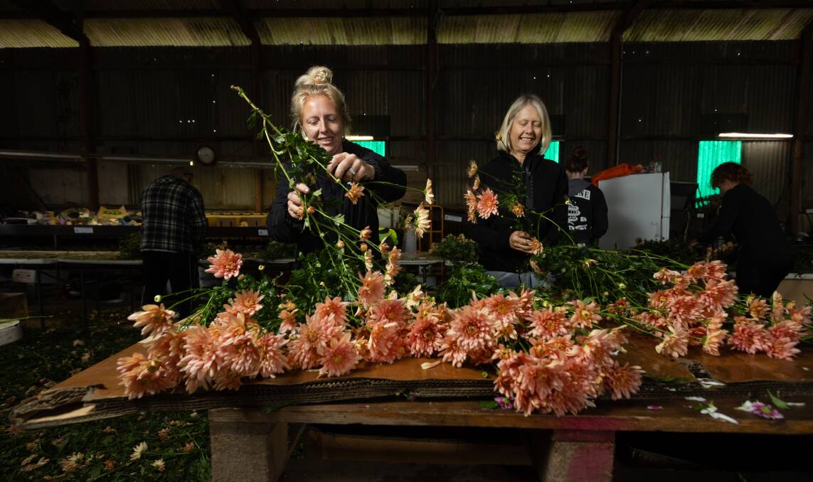 Little Tin Shed Medowie pick Mother's Day flowers, pictures by Marina Neil and Peter Lorimer 