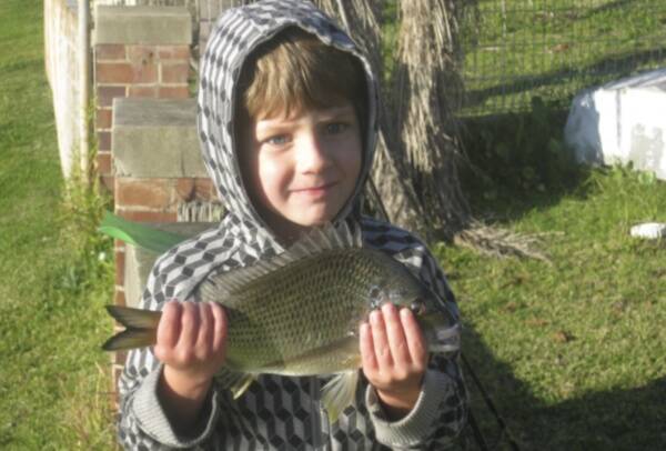 LITTLE RIPPER: Verdun Michael Hiles, aged three and a half, won fish of the week  for this handy bream hooked at Coal Point recently.