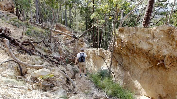 Environmental catastrophe: Part of a collapsed hillside at Mount Sugarloaf. Photo: Darren Pateman