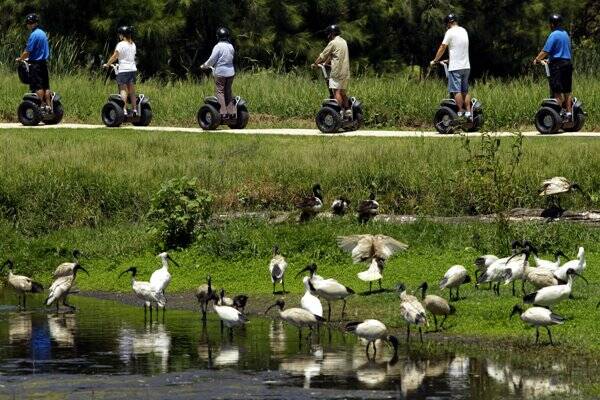 BIGGER: The Hunter Wetlands will expand.