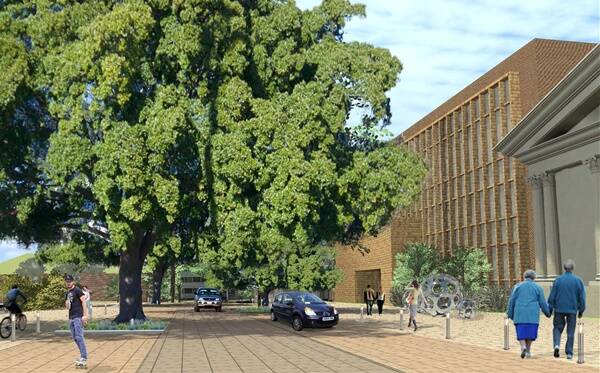 GROWING: An artist’s impression of Laman Street if the current 14 fig trees are replaced with nine new ones. –  Artwork  courtesy of Newcastle City Council