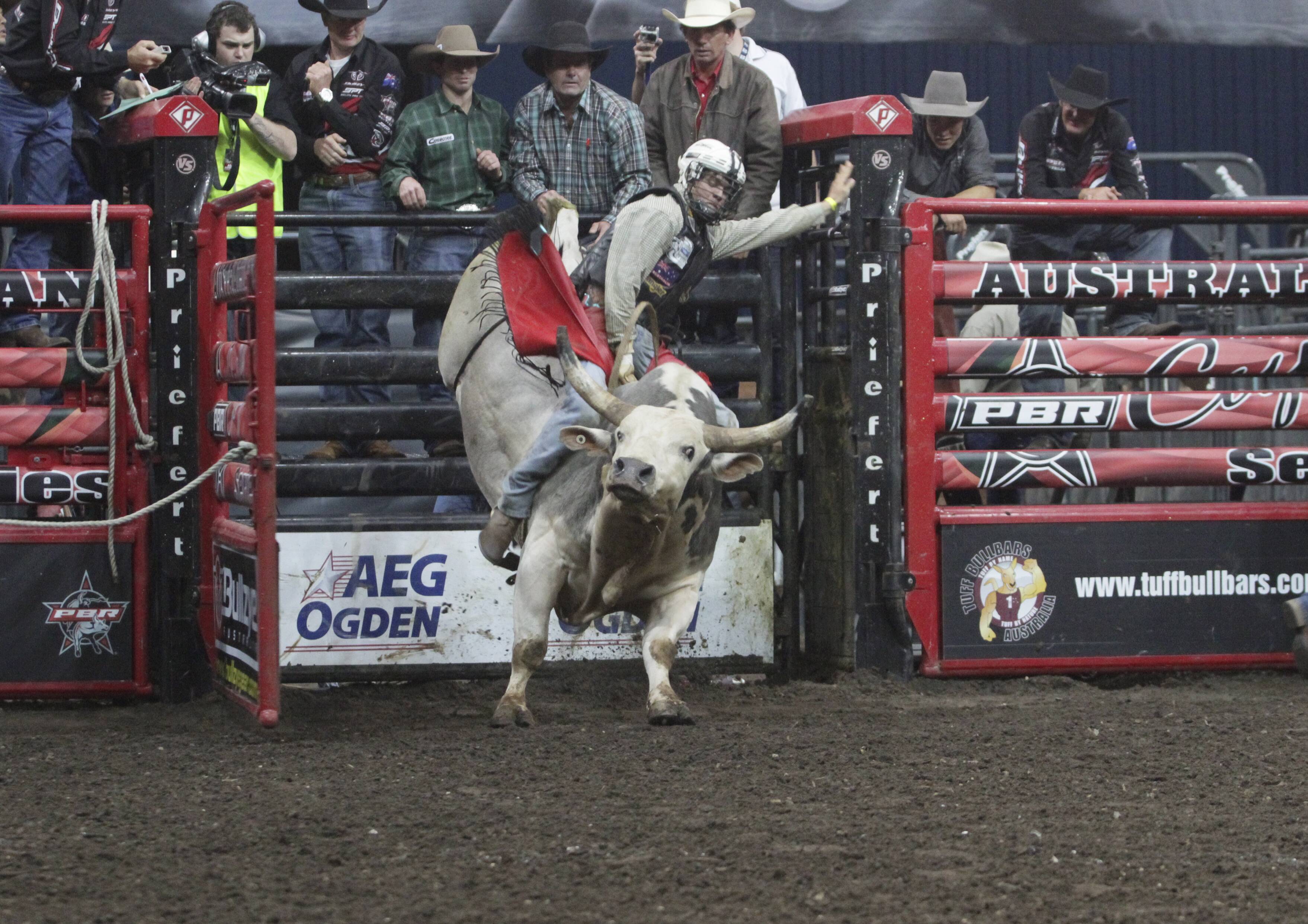 Hunter mans pro bull riding ups and downs Newcastle Herald Newcastle,