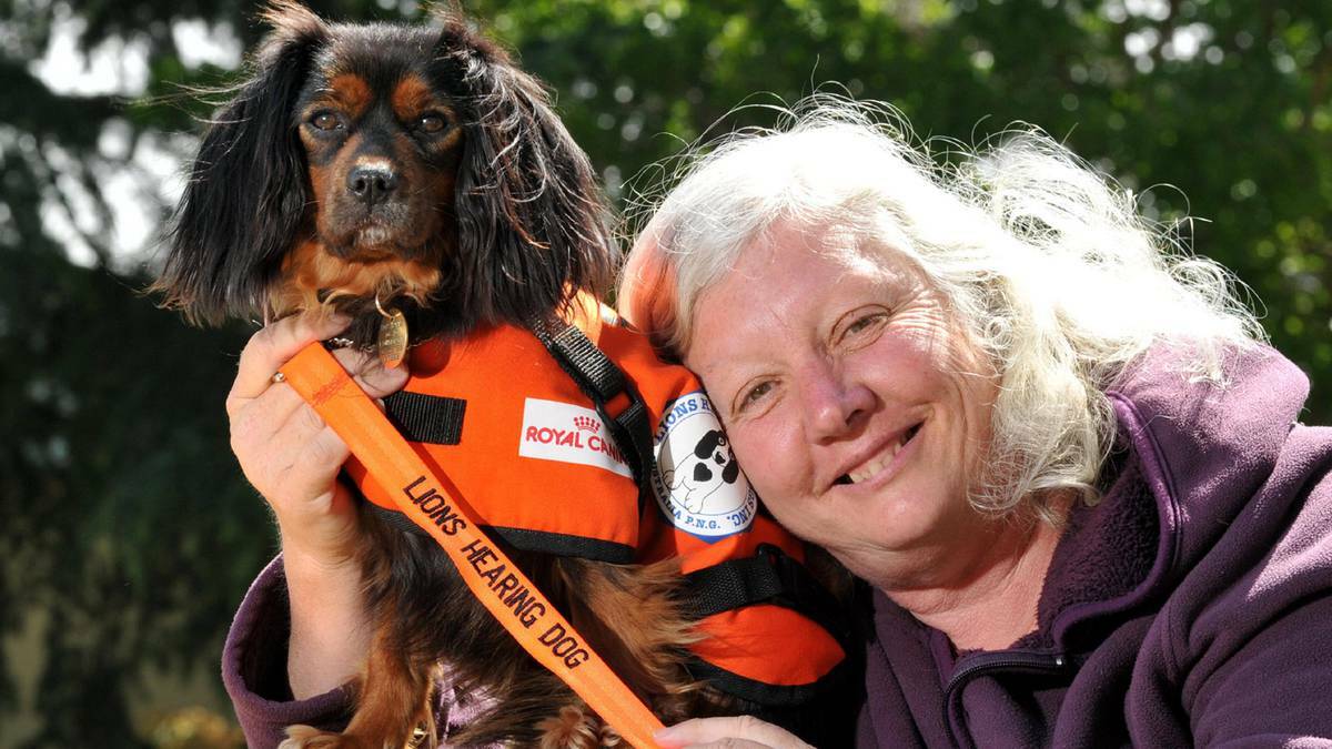 Patricia Wall with her new hearing dog, Ruby. Photo: LES SMITH