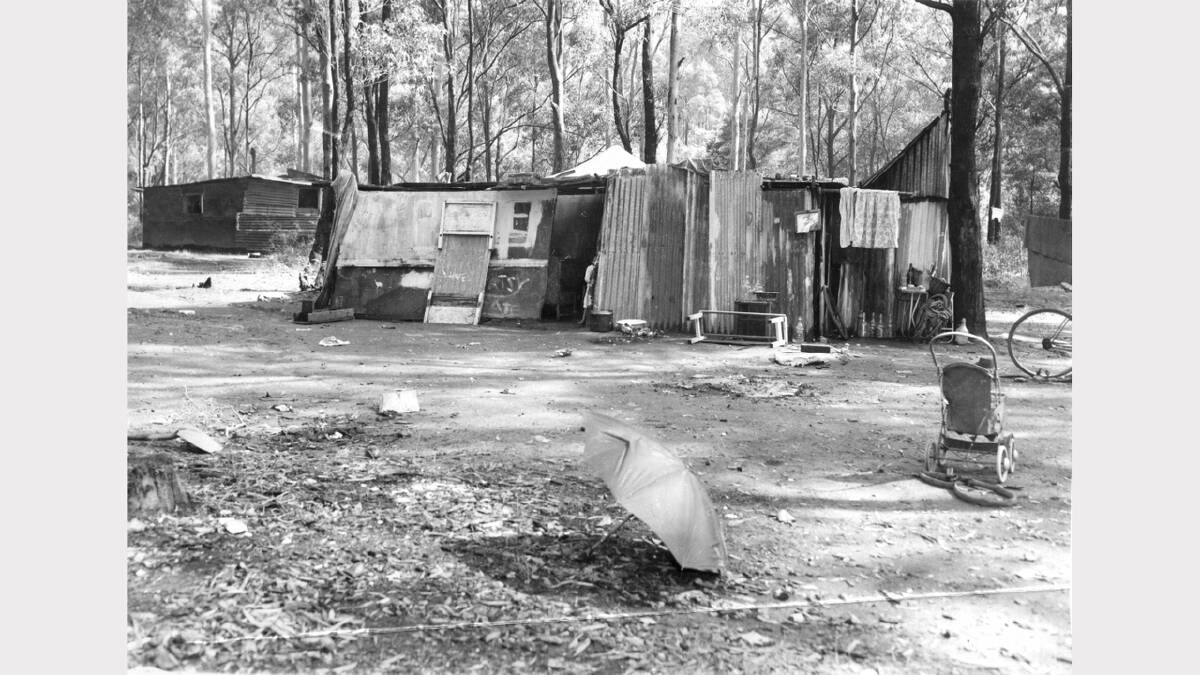 Waratah shantytown