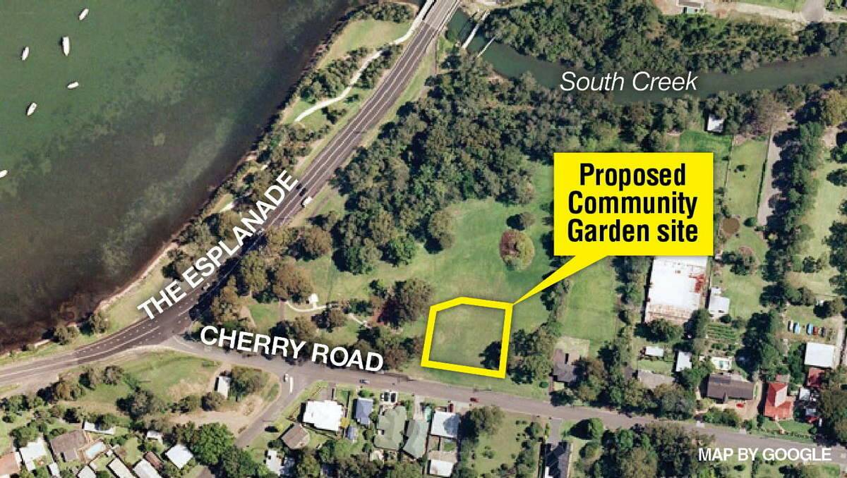  The proposed community garden site. 