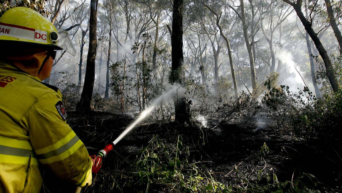 BURNT SCRUB:  A firefighter hoses down a section of the  100-hectare fire in Dudley and Redhead.  Picture: Ryan Osland