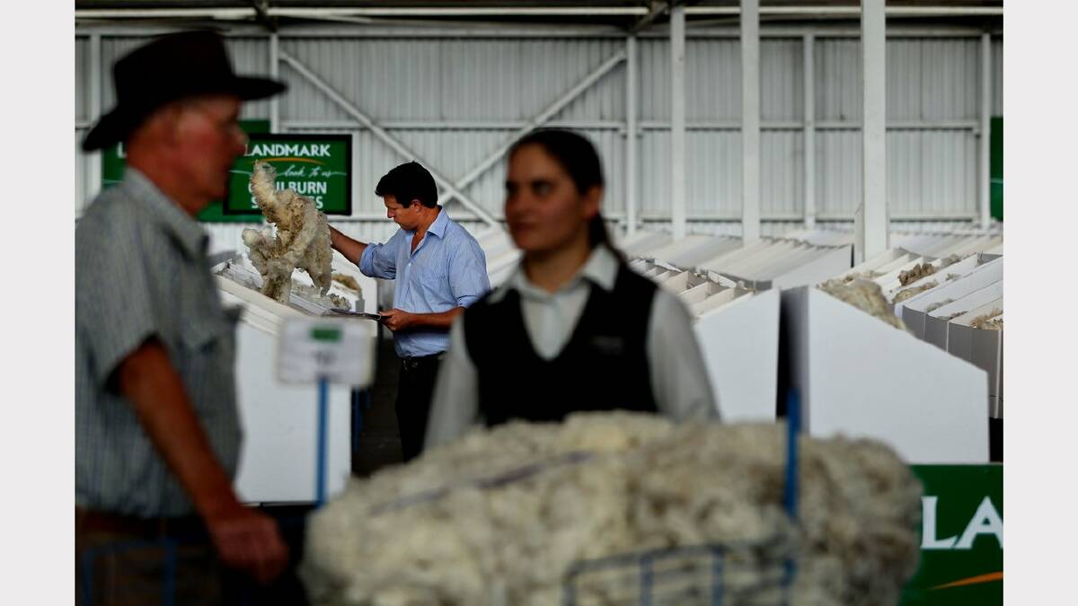 Buyer Scott Sealy from Viterra on the show floor looking over wool before the sale at Elders October 3 day sale in Wickham. 9th OCTOBER 2012. Picture by SIMONE DE PEAK.