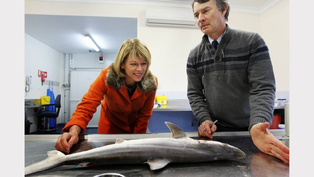 NSW Minister for Primary Industries and Small Business, Katrina Hodgkinson and research scientist from Port Stephens Fisheries Institute's Dr Nick Otway examine a shark at the opening of the institute's expansion. Picture Natalie Grono
