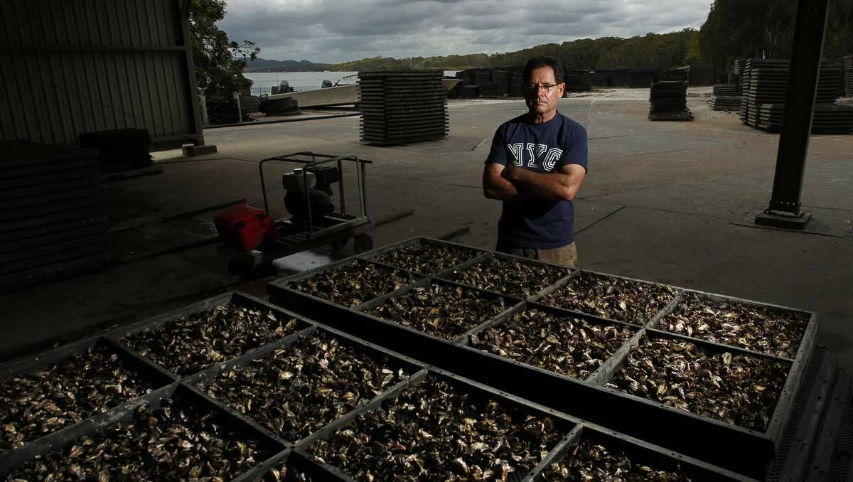 Robert Diemar with some of the dead oysters. Picture  Jonathan Carroll 