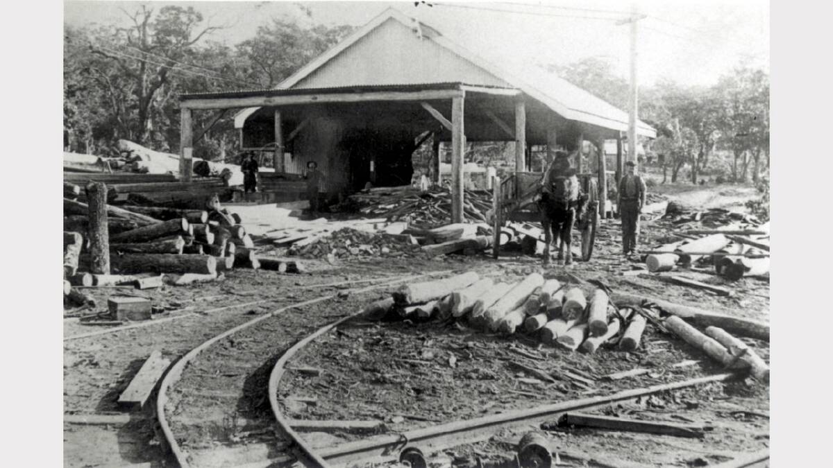 ARCHIVAL REVIVAL 1900s: Photographs from the Newcastle Herald's files. Sawmill at Middle Camp, Catherine Hill Bay, Lake Macquarie, 1914. 