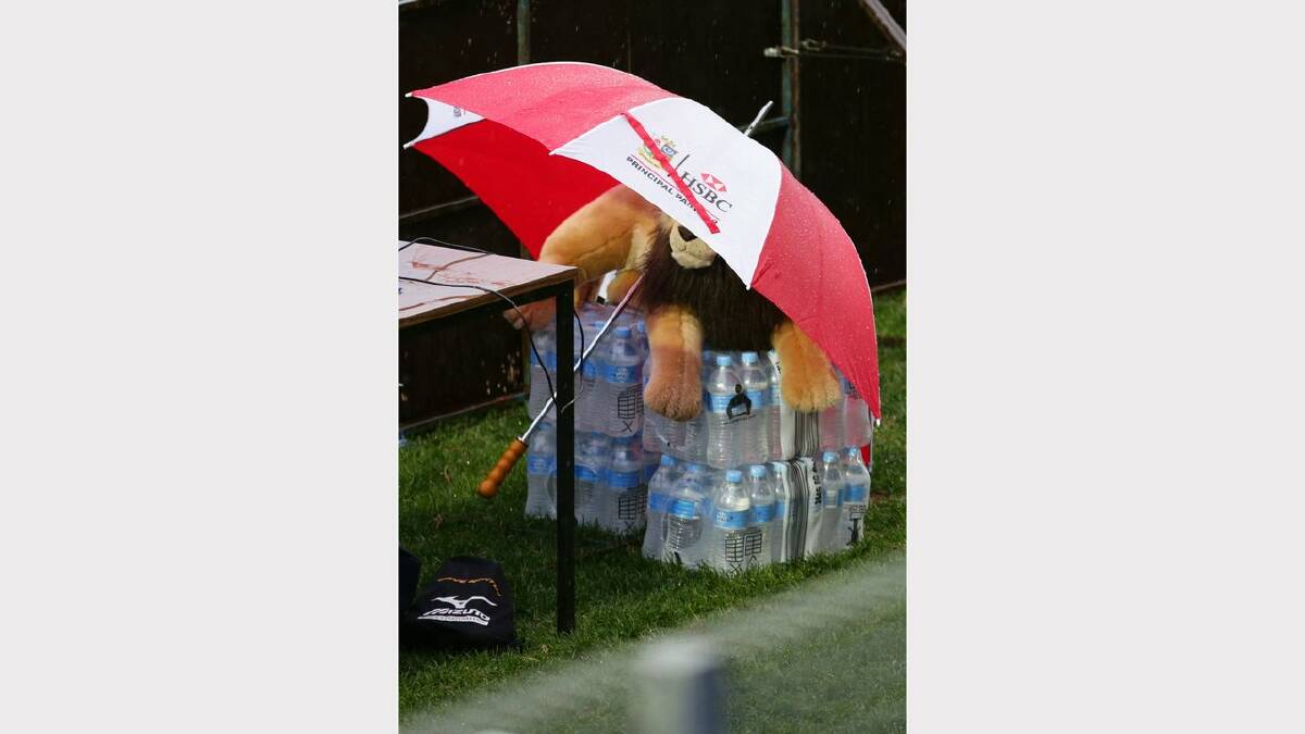 British Lions train at Newcastle's no2 Sportsground ahead of their Tuesday game against Combined Country Team at Hunter Stadium - Lion Mascot sheltering from the rain. Picture: Peter Stoop 