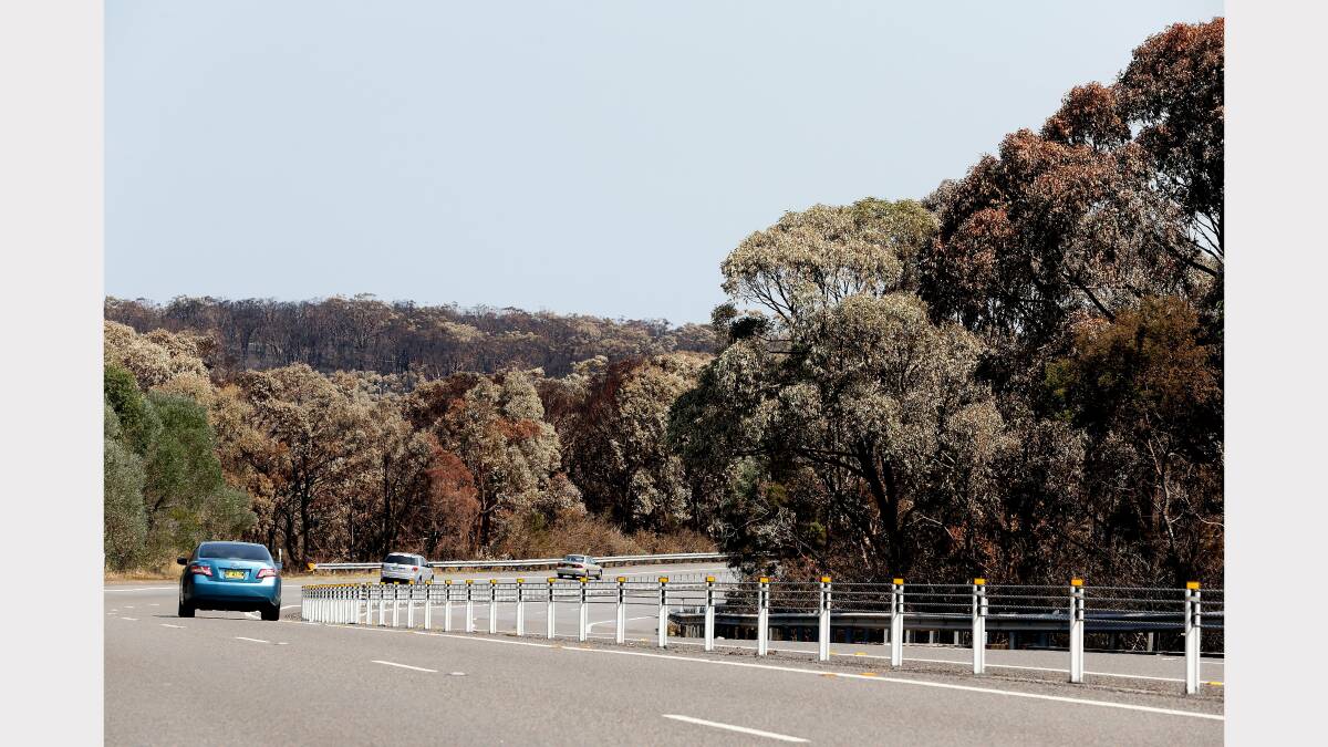 Blackened bushland shows the extent of last weeks fires near Catherine Hill Bay. Picture by  Ryan Osland