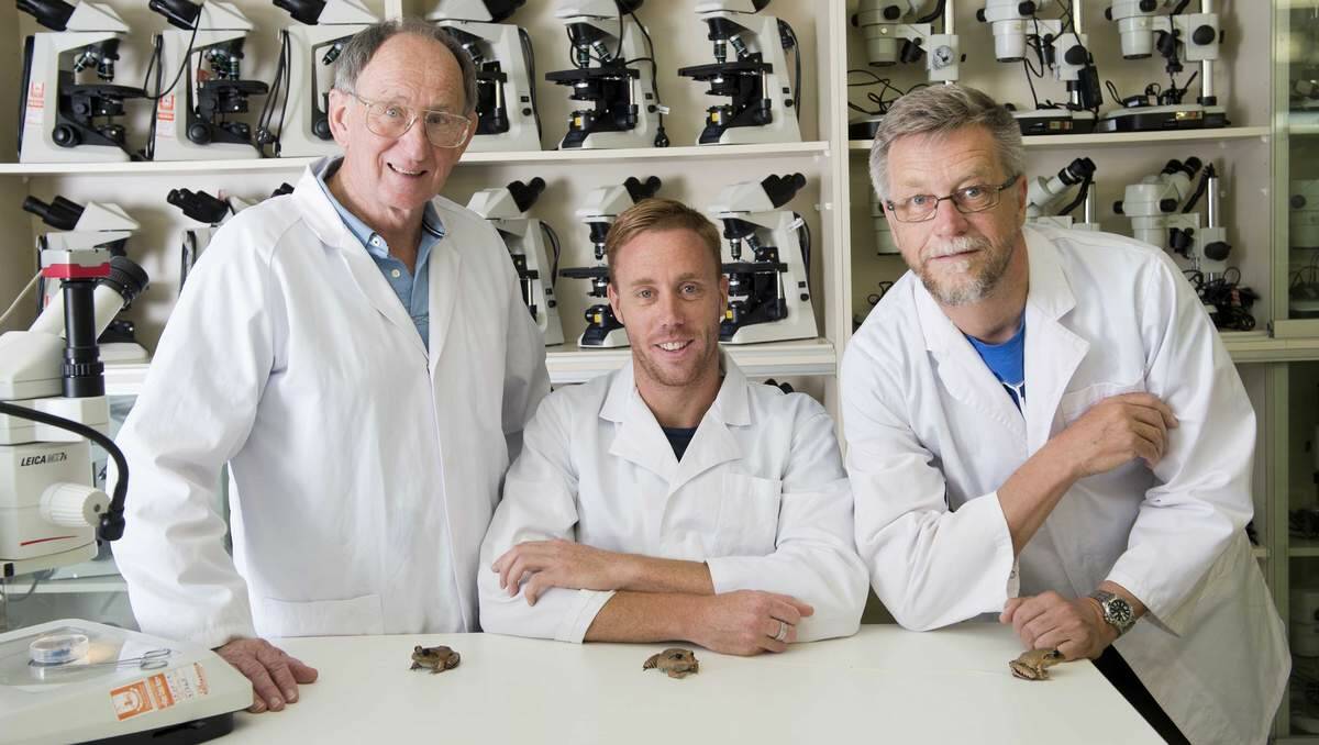 ADVANCES: Researchers Michael Mahony, Simon Clulow and John Clulow with great barred frogs.