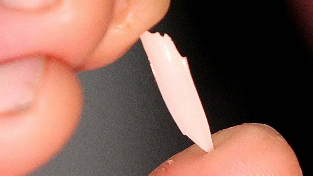 A piece of the shark's tooth that was left lodged in Allan Saunders' leg after the attack.
