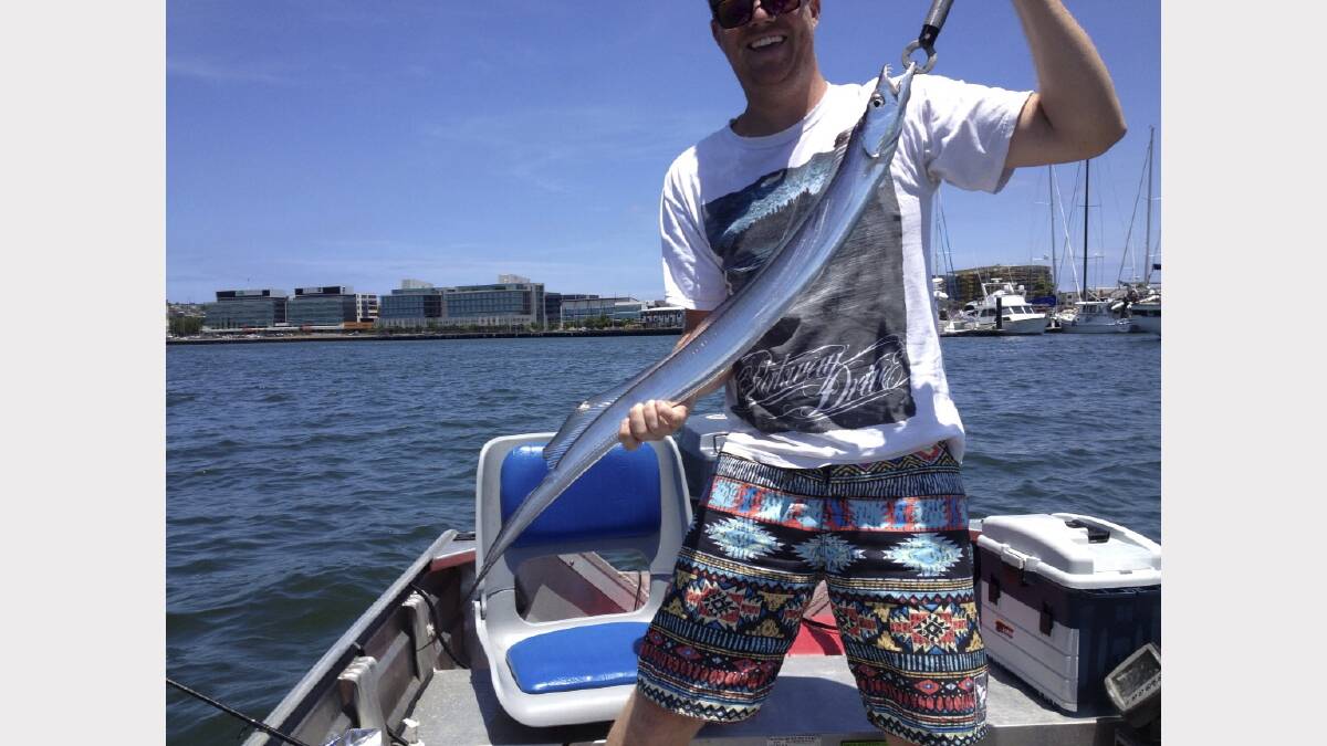 FISH OF THE WEEK: BLUE STEEL: Maryville's Daniel Maloney wins the Jarvis Walker tacklebox and Tsunami lure pack for this beautiful 125-centimetre hairtail caught in Newcastle harbour on December 15. 