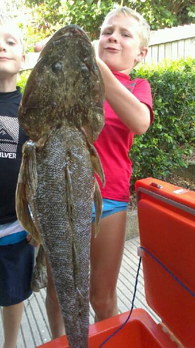 HEAVE: Seven year old Riley Vale from Charlestown with his 84cm flathead caught in Lake Macquarie. Submitted 22/1/13