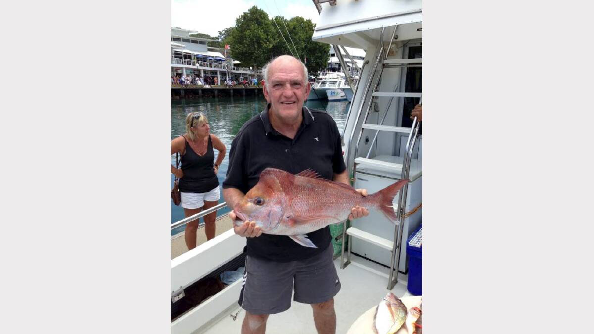 HAMMERED:  Phillip Fraser: Submitted 22/1/13. Large Snapper. 79cm long and weighted 6.6kgs. Great Day out. P.S the fish was delicious. Caught at Nelson Bay on the  December 29 while on a Hammerhead Fishing Charter.