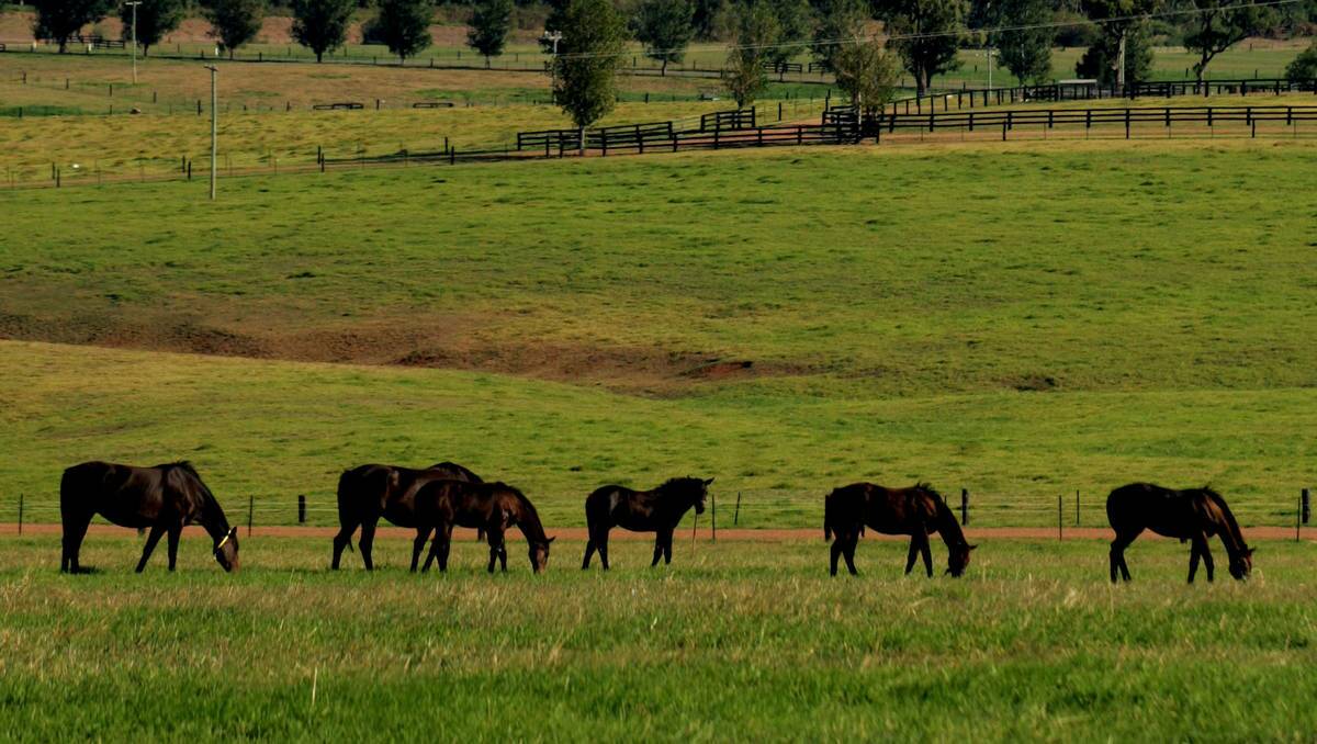 The exploration licence area for Drayton South coalmine comes close to two world-class thoroughbred studs.